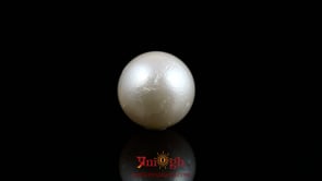 Pearl - 10.85 Carat