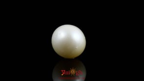 Pearl - 9.9 Carat