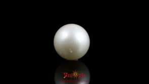Pearl - 10.8 Carat