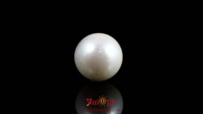 Pearl - 10.05 Carat