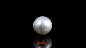 Pearl - 7.95 Carat