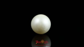 Pearl - 10.15 Carat