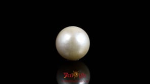 Pearl - 9.1 Carat