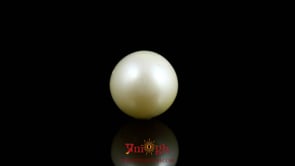Pearl - 9.15 Carat