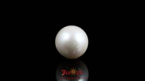 Pearl - 9.1 Carat
