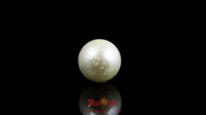 Pearl - 7.2 Carat