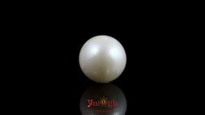 Pearl - 9.9 Carat