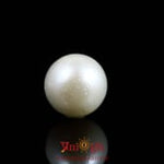 Pearl - 7.9 Carat