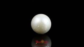 Pearl - 10.7 Carat