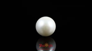 Pearl - 8.15 Carat