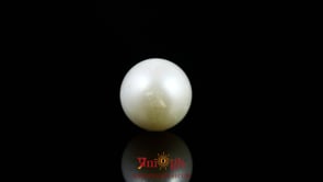 Pearl - 8.45 Carat