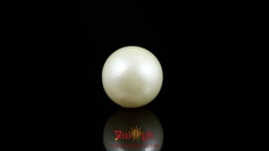 Pearl - 9.5 Carat
