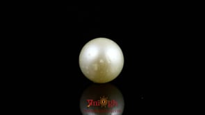 Pearl - 8.15 Carat