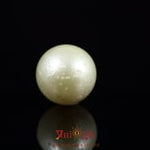 Pearl - 8.1 Carat