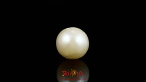 Pearl - 8.5 Carat