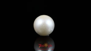 Pearl - 9.65 Carat