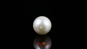 Pearl - 7.7 Carat