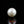 Load and play video in Gallery viewer, Pearl - 7.7 Carat
