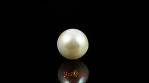 Pearl - 7.05 Carat