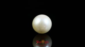 Pearl - 9.25 Carat