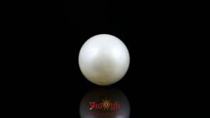 Pearl - 10.7 Carat