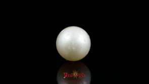 Pearl - 9.8 Carat