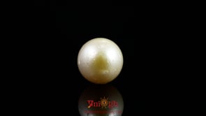 Pearl - 8.6 Carat