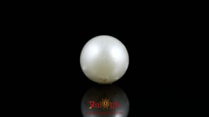 Pearl - 9.6 Carat