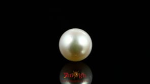 Pearl - 7.8 Carat