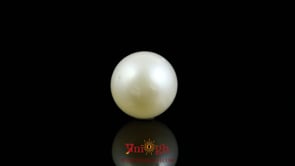 Pearl - 9.1 Carat