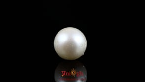 Pearl - 8.75 Carat