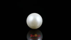 Pearl - 8.85 Carat