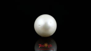 Pearl - 11.45 Carat