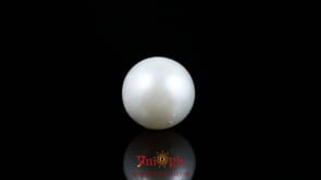 Pearl - 10.2 Carat