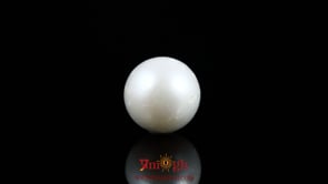 Pearl - 9.9 Carat