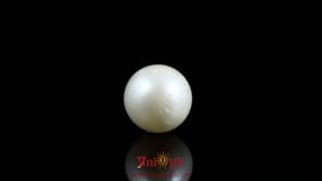 Pearl - 7.25 Carat