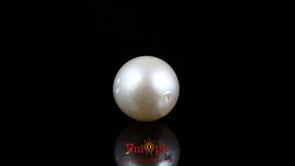 Pearl - 8.35 Carat