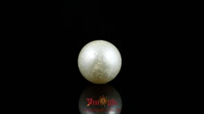 Pearl - 7.5 Carat
