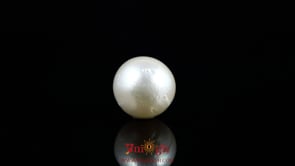 Pearl - 7.55 Carat