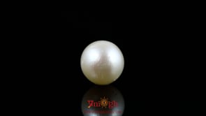 Pearl - 7.5 Carat
