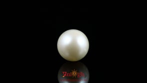 Pearl - 7.7 Carat