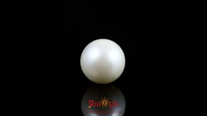 Pearl - 8 Carat