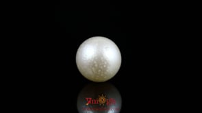 Pearl - 8.9 Carat