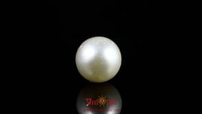 Pearl - 8.9 Carat
