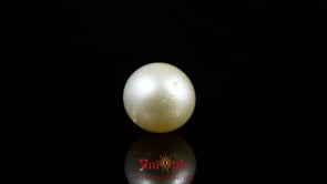 Pearl - 7.95 Carat