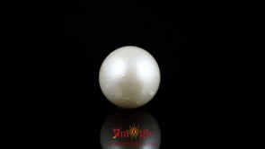 Pearl - 9.5 Carat