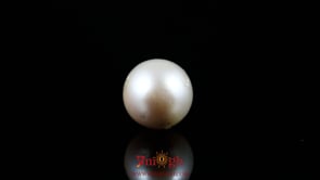 Pearl - 8.2 Carat
