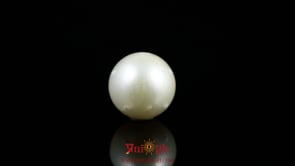 Pearl - 9 Carat
