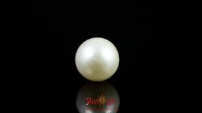 Pearl - 8.15 Carat