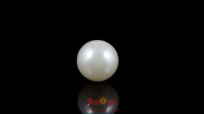 Pearl - 7.1 Carat